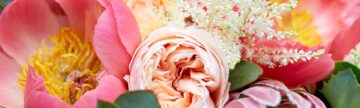 Flowers by Coley Dallas
