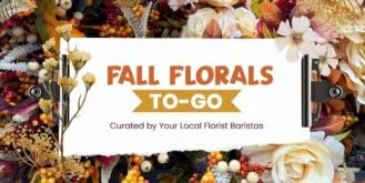 BC Bold Autumn Playlist